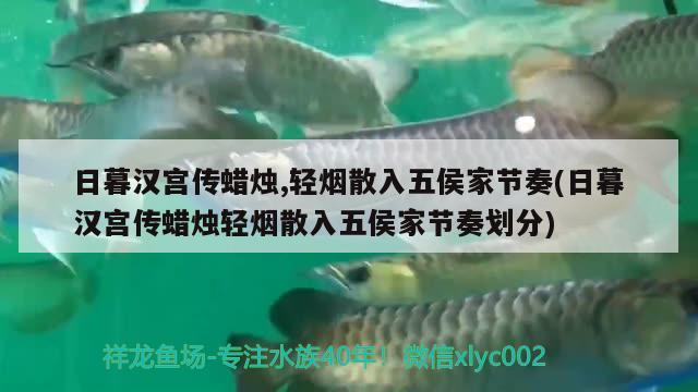 日暮汉宫传蜡烛,轻烟散入五侯家节奏(日暮汉宫传蜡烛轻烟散入五侯家节奏划分)