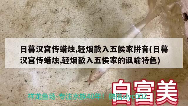 日暮汉宫传蜡烛,轻烟散入五侯家拼音(日暮汉宫传蜡烛,轻烟散入五侯家的讽喻特色)