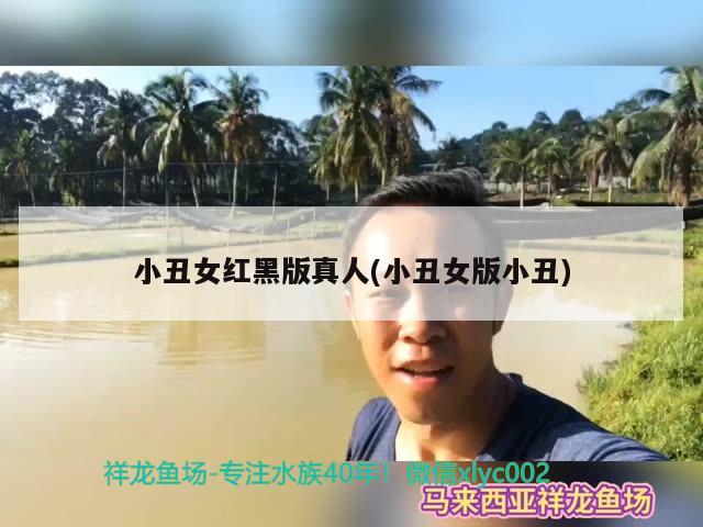 小丑女红黑版真人(小丑女版小丑)