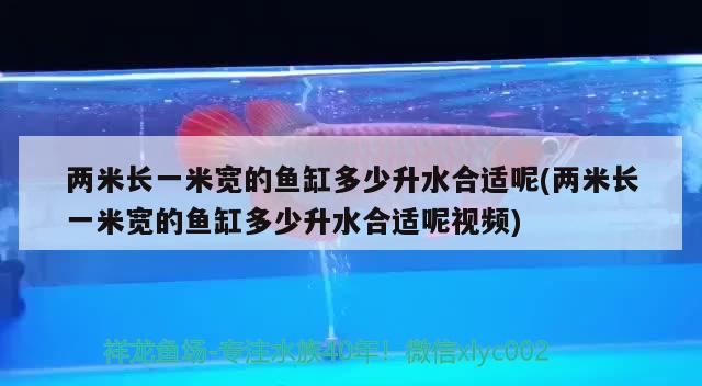 两米长一米宽的鱼缸多少升水合适呢(两米长一米宽的鱼缸多少升水合适呢视频)