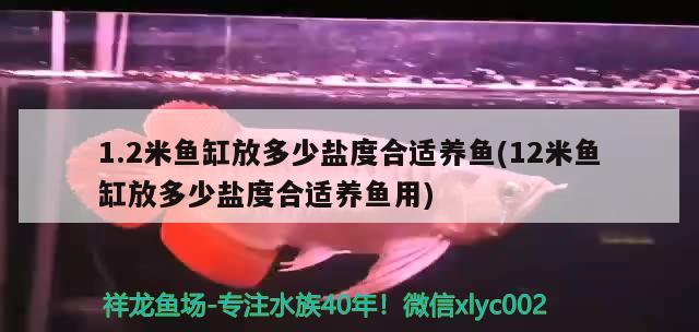 1.2米鱼缸放多少盐度合适养鱼(12米鱼缸放多少盐度合适养鱼用)