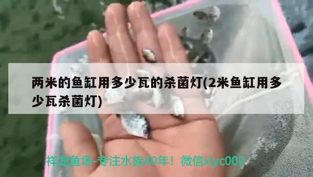 两米的鱼缸用多少瓦的杀菌灯(2米鱼缸用多少瓦杀菌灯)