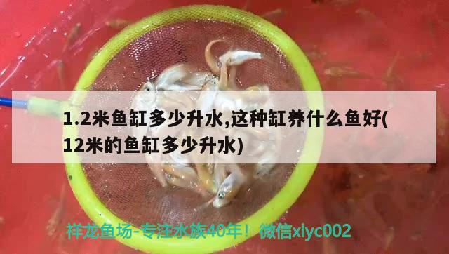 1.2米鱼缸多少升水,这种缸养什么鱼好(12米的鱼缸多少升水)