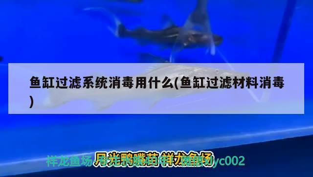 鱼缸过滤系统消毒用什么(鱼缸过滤材料消毒) 水族杂谈