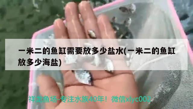 一米二的鱼缸需要放多少盐水(一米二的鱼缸放多少海盐)