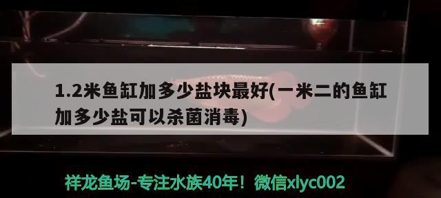 1.2米鱼缸加多少盐块最好(一米二的鱼缸加多少盐可以杀菌消毒) 过滤设备