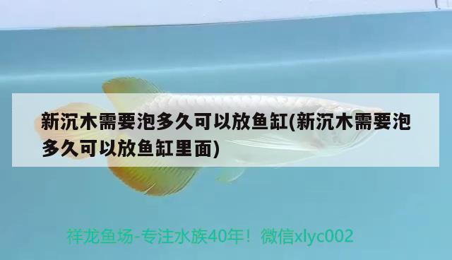 新沉木需要泡多久可以放鱼缸(新沉木需要泡多久可以放鱼缸里面) 水族杂谈