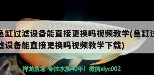 鱼缸过滤设备能直接更换吗视频教学(鱼缸过滤设备能直接更换吗视频教学下载) 过滤设备