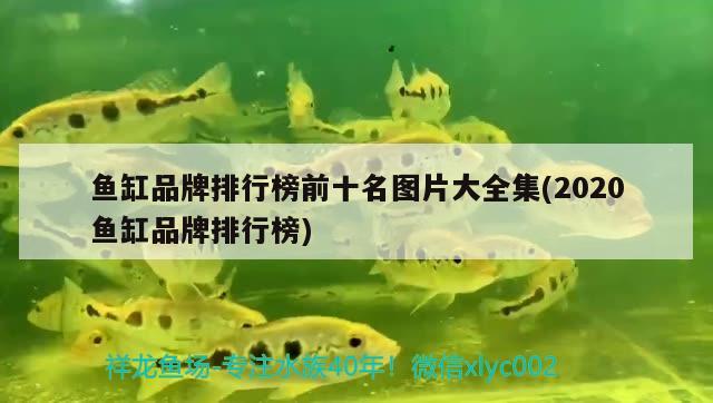 鱼缸品牌排行榜前十名图片大全集(2020鱼缸品牌排行榜) 水族杂谈