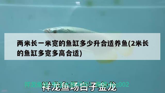 两米长一米宽的鱼缸多少升合适养鱼(2米长的鱼缸多宽多高合适) 七纹巨鲤鱼 第2张