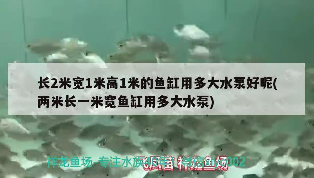 长2米宽1米高1米的鱼缸用多大水泵好呢(两米长一米宽鱼缸用多大水泵) 粗线银版鱼苗