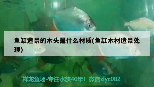 鱼缸造景的木头是什么材质(鱼缸木材造景处理) 水族维护服务（上门）