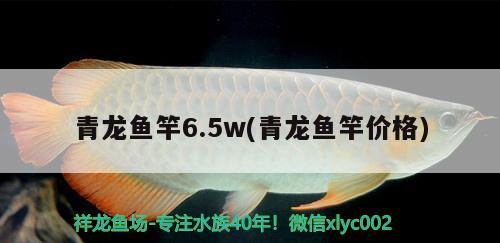 青龙鱼竿6.5w(青龙鱼竿价格) 垂钓乐园