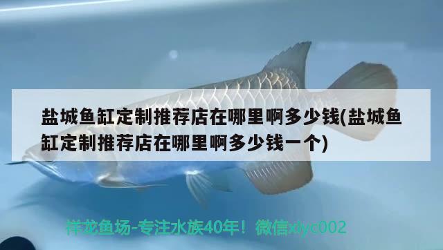 盐城鱼缸定制推荐店在哪里啊多少钱(盐城鱼缸定制推荐店在哪里啊多少钱一个)