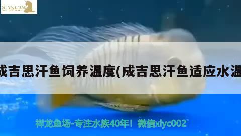 成吉思汗鱼饲养温度(成吉思汗鱼适应水温) 观赏鱼