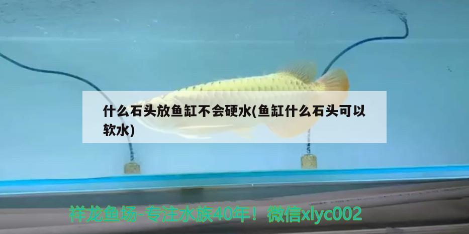 什么石头放鱼缸不会硬水(鱼缸什么石头可以软水) 观赏鱼饲料