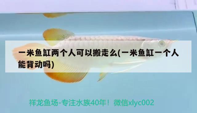 一米鱼缸两个人可以搬走么(一米鱼缸一个人能背动吗) 养鱼知识 第2张