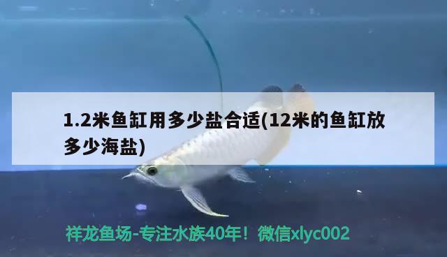 1.2米鱼缸用多少盐合适(12米的鱼缸放多少海盐)