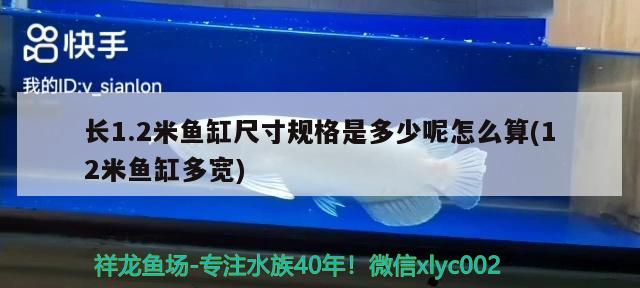 长1.2米鱼缸尺寸规格是多少呢怎么算(12米鱼缸多宽) 银河星钻鱼 第2张