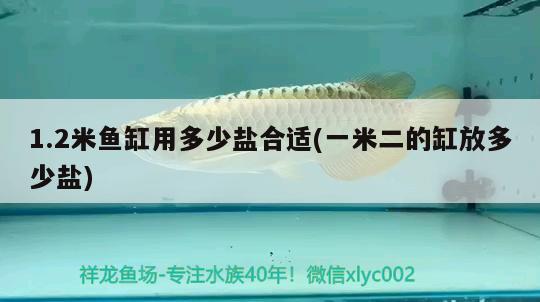 1.2米鱼缸用多少盐合适(一米二的缸放多少盐) 水族品牌