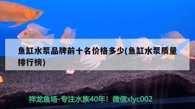 鱼缸水泵品牌前十名价格多少(鱼缸水泵质量排行榜)