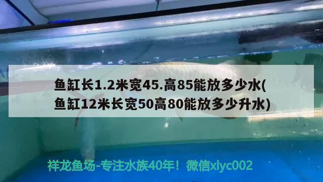 鱼缸长1.2米宽45.高85能放多少水(鱼缸12米长宽50高80能放多少升水)