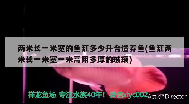 两米长一米宽的鱼缸多少升合适养鱼(鱼缸两米长一米宽一米高用多厚的玻璃)