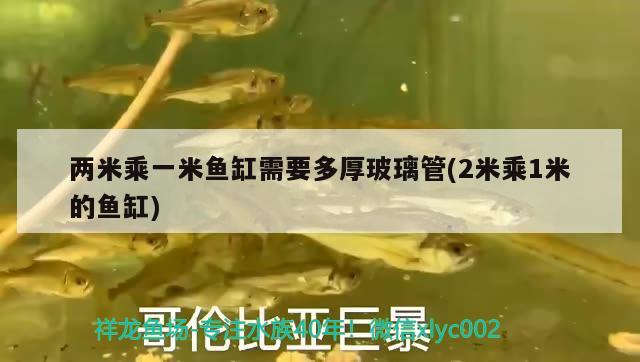 两米乘一米鱼缸需要多厚玻璃管(2米乘1米的鱼缸) 纯血皇冠黑白魟鱼