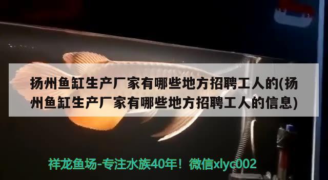 扬州鱼缸生产厂家有哪些地方招聘工人的(扬州鱼缸生产厂家有哪些地方招聘工人的信息)