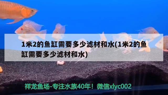 1米2的鱼缸需要多少滤材和水(1米2的鱼缸需要多少滤材和水) 黑水素