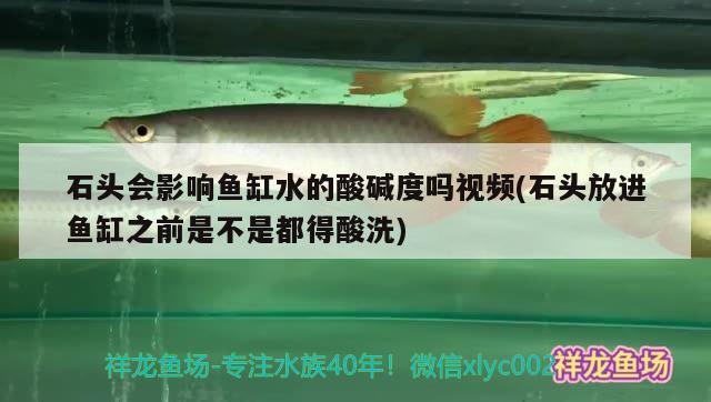 石头会影响鱼缸水的酸碱度吗视频(石头放进鱼缸之前是不是都得酸洗)