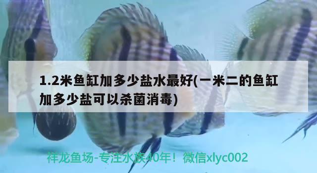 1.2米鱼缸加多少盐水最好(一米二的鱼缸加多少盐可以杀菌消毒) 泰庞海鲢鱼