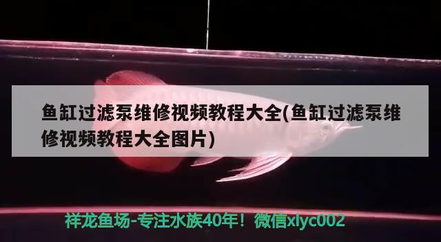 鱼缸过滤泵维修视频教程大全(鱼缸过滤泵维修视频教程大全图片) 黑水素