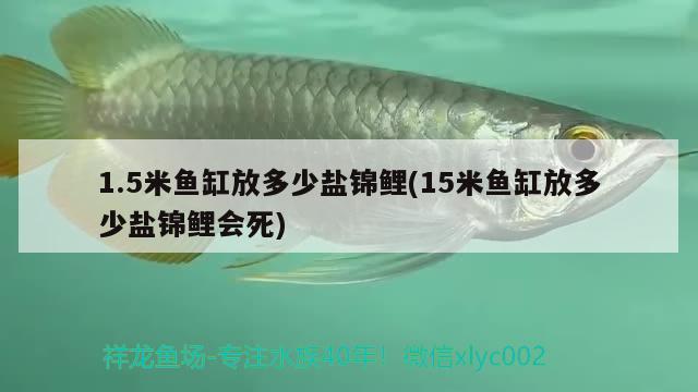 1.5米鱼缸放多少盐锦鲤(15米鱼缸放多少盐锦鲤会死)