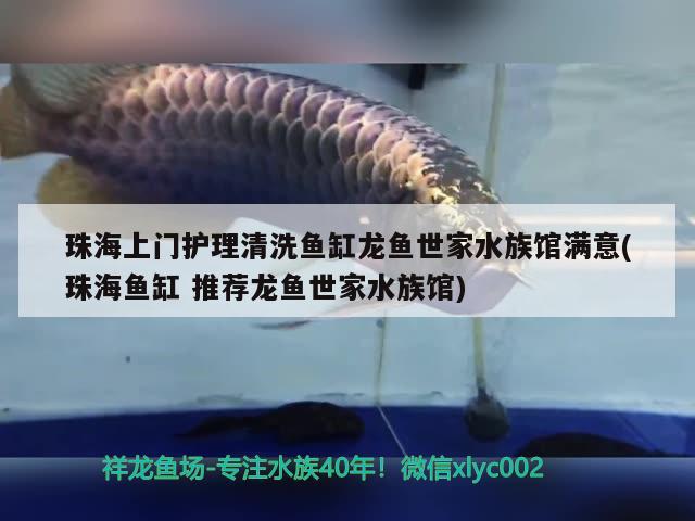 珠海上门护理清洗鱼缸龙鱼世家水族馆满意(珠海鱼缸推荐龙鱼世家水族馆)