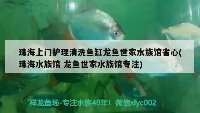 珠海上门护理清洗鱼缸龙鱼世家水族馆省心(珠海水族馆龙鱼世家水族馆专注)