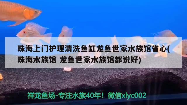 珠海上门护理清洗鱼缸龙鱼世家水族馆省心(珠海水族馆龙鱼世家水族馆都说好)