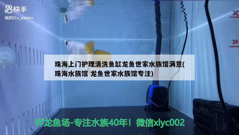 珠海上门护理清洗鱼缸龙鱼世家水族馆满意(珠海水族馆龙鱼世家水族馆专注) 观赏鱼鱼苗