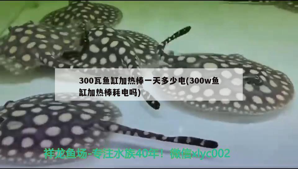 300瓦鱼缸加热棒一天多少电(300w鱼缸加热棒耗电吗)