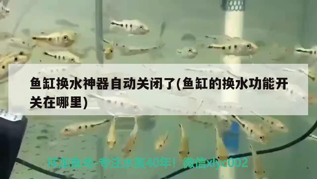 鱼缸换水神器自动关闭了(鱼缸的换水功能开关在哪里) 祥龙水族滤材/器材