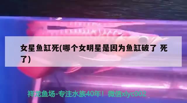 女星鱼缸死(哪个女明星是因为鱼缸破了死了)