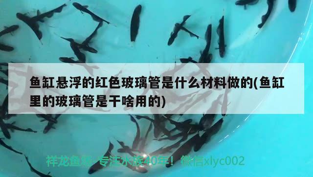 鱼缸悬浮的红色玻璃管是什么材料做的(鱼缸里的玻璃管是干啥用的)