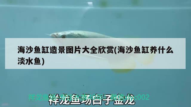 海沙鱼缸造景图片大全欣赏(海沙鱼缸养什么淡水鱼) 鱼缸水泵