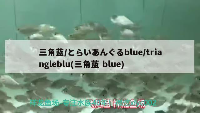 三角蓝/とらいあんぐるblue/triangleblu(三角蓝blue)