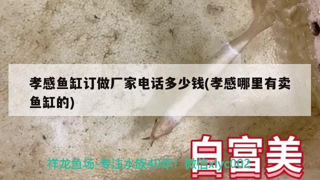 孝感鱼缸订做厂家电话多少钱(孝感哪里有卖鱼缸的)