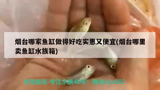 烟台哪家鱼缸做得好吃实惠又便宜(烟台哪里卖鱼缸水族箱)