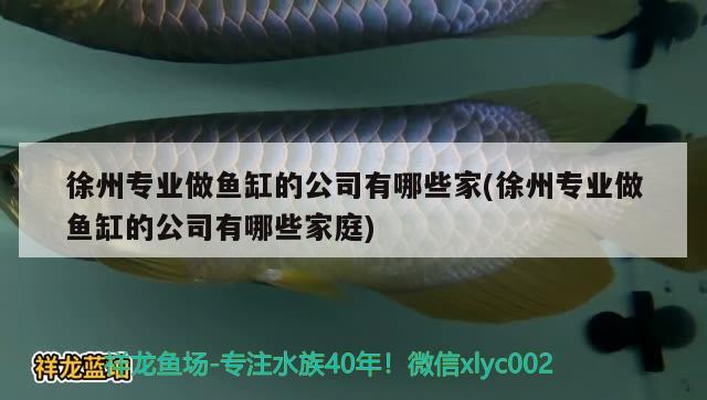 徐州专业做鱼缸的公司有哪些家(徐州专业做鱼缸的公司有哪些家庭) 喷点菠萝鱼