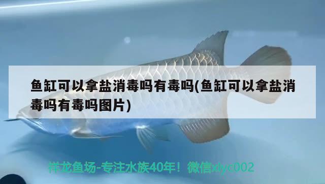 鱼缸可以拿盐消毒吗有毒吗(鱼缸可以拿盐消毒吗有毒吗图片) 杀菌消毒设备