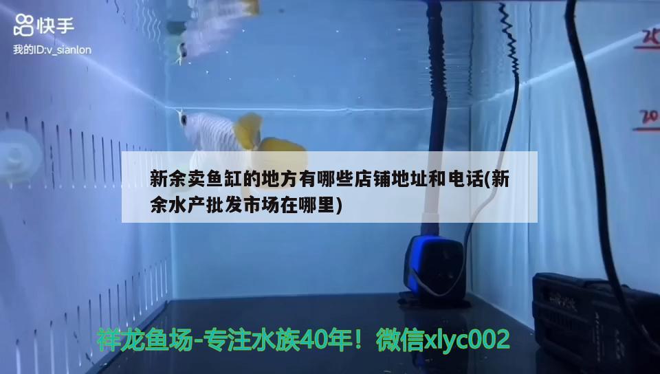 新余卖鱼缸的地方有哪些店铺地址和电话(新余水产批发市场在哪里) 祥龙传奇品牌鱼缸