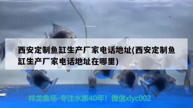 西安定制鱼缸生产厂家电话地址(西安定制鱼缸生产厂家电话地址在哪里)